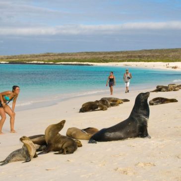 Las Galápagos: archipiélago del Ecuador y excepcional patrimonio natural
