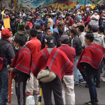 ¿Los indios deberían quedarse en el páramo?