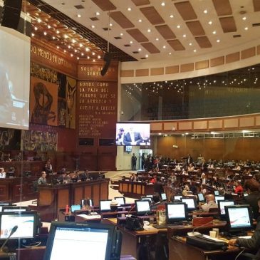 La reforma electoral, entre progenitores putativos y el oportunismo político