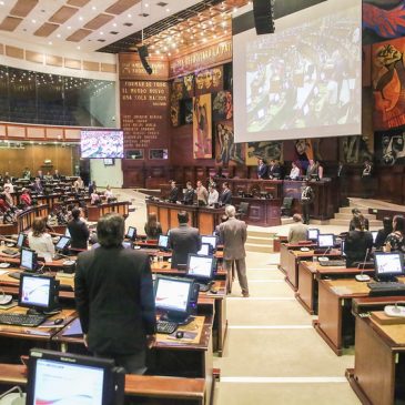 De Diputados pipones a Asambleísta alzamanos y repartidores.