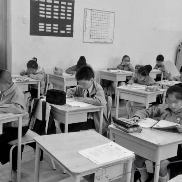 ¿Cuántas vidas de estudiantes más?