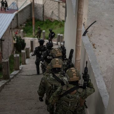 La figura de conflicto armado interno es desacertada
