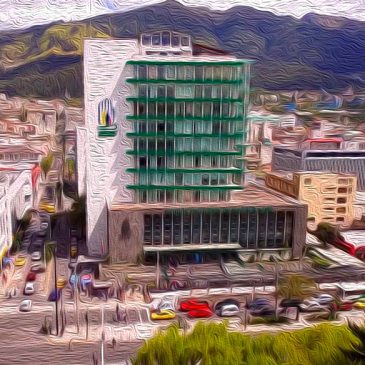 El IESS en estado de angustia