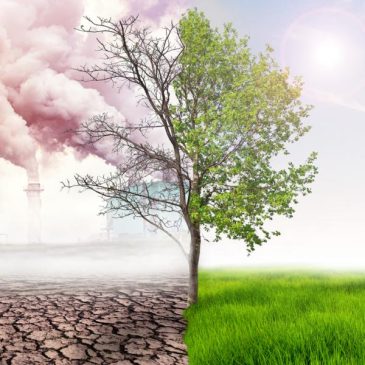 Conversión ecológica y fraternidad universal: exhortación del Papa Francisco