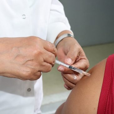 Fiebre amarilla, tosferina y leptospirosis: el regreso de enfermedades prevenibles
