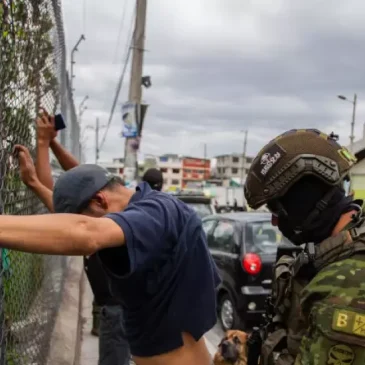 Ecuador se va a la guerra…
